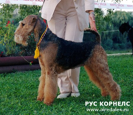 Эрдели From Russia Эрдели From Russia