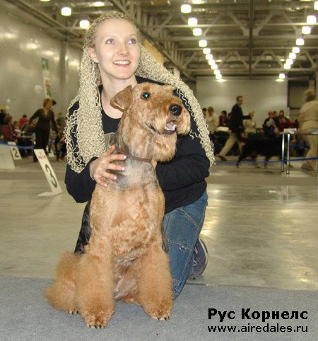 Ариша и английский Крафт 2008 Ариша и английский Крафт 2008