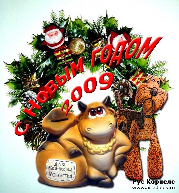 С Новым 2009 годом С Новым 2009 годом