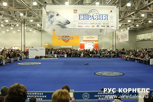 Знак качества - Евразия 2009 Знак качества - Евразия 2009