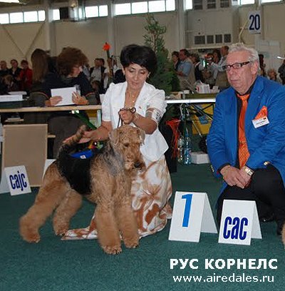 Чемпионат мира 2009, Интерра 2009 - Братислава Чемпионат мира 2009, Интерра 2009 - Братислава