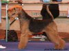Чемпионат Европы 2010 - Словения Чемпионат Европы 2010 - Словения