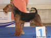 Чемпионат Европы 2010 - Словения Чемпионат Европы 2010 - Словения