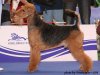 Чемпионат Европы 2010 - Словения Чемпионат Европы 2010 - Словения