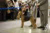 Евразия 2011 - 20 лет РКФ Евразия 2011 - 20 лет РКФ