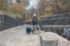 Прибалтийские заметки Прибалтийские заметки