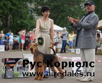 Монопородная выставка ранга ПК в Рыбинске 7 июля 2013г. Монопородная выставка ранга ПК в Рыбинске 7 июля 2013г.