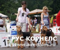 Монопородная выставка ранга ПК в Рыбинске 7 июля 2013г. Монопородная выставка ранга ПК в Рыбинске 7 июля 2013г.