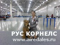 Россия-2013 и Кубок президента РКФ 2ХCACIB! Россия-2013 и Кубок президента РКФ 2ХCACIB!