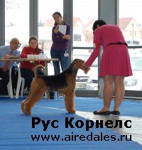 Словения - 18,19 января 2014 Словения - 18,19 января 2014