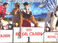 Солнце, море и Митя-Чемпион Кипра Солнце, море и Митя-Чемпион Кипра