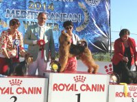 Солнце, море и Митя-Чемпион Кипра Солнце, море и Митя-Чемпион Кипра