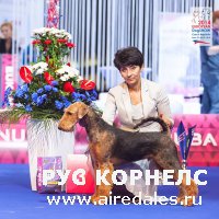Дортмунд-Брно-Россия 2014 Дортмунд-Брно-Россия 2014