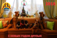 С наступающим Новым Годом друзья! С наступающим Новым Годом друзья!