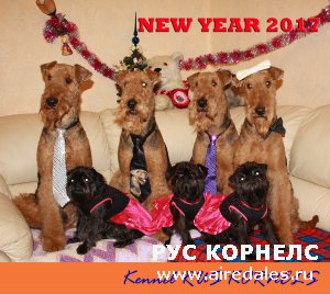 С Новым Годом друзья!!! С Новым Годом друзья!!!