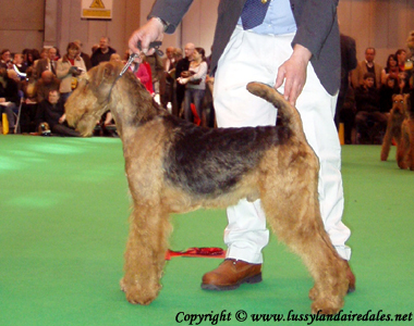 Ариша и английский Крафт 2008 Ариша и английский Крафт 2008