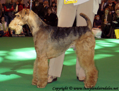 Ариша и английский Крафт 2008 Ариша и английский Крафт 2008