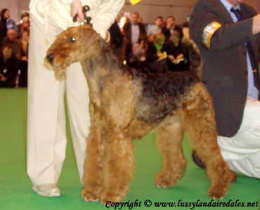 Ариша и английский Крафт 2008 Ариша и английский Крафт 2008