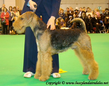 Ариша и английский Крафт 2008 Ариша и английский Крафт 2008