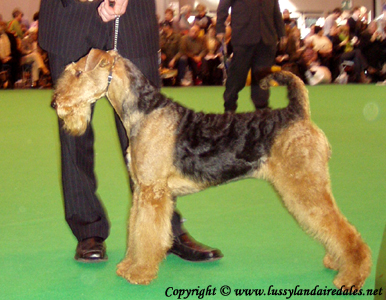 Ариша и английский Крафт 2008 Ариша и английский Крафт 2008