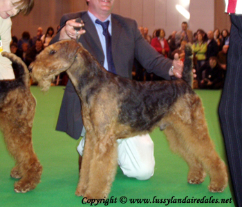Ариша и английский Крафт 2008 Ариша и английский Крафт 2008