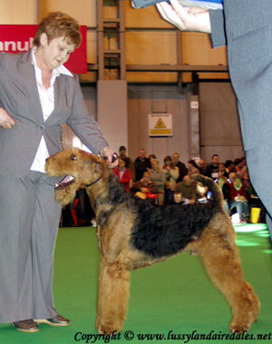 Ариша и английский Крафт 2008 Ариша и английский Крафт 2008