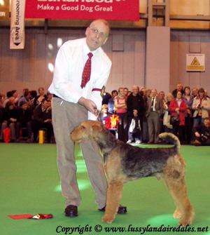 Ариша и английский Крафт 2008 Ариша и английский Крафт 2008