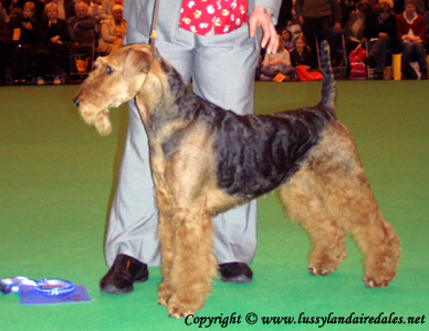 Ариша и английский Крафт 2008 Ариша и английский Крафт 2008