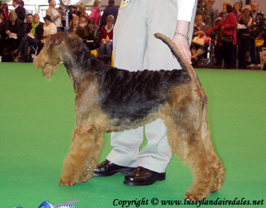 Ариша и английский Крафт 2008 Ариша и английский Крафт 2008