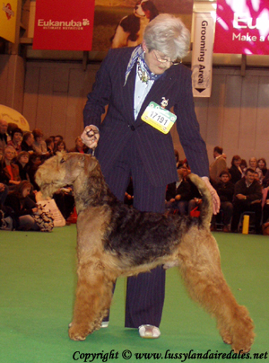 Ариша и английский Крафт 2008 Ариша и английский Крафт 2008
