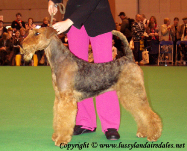 Ариша и английский Крафт 2008 Ариша и английский Крафт 2008