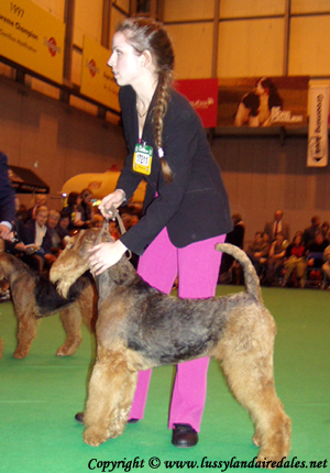 Ариша и английский Крафт 2008 Ариша и английский Крафт 2008