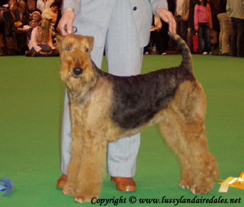 Ариша и английский Крафт 2008 Ариша и английский Крафт 2008