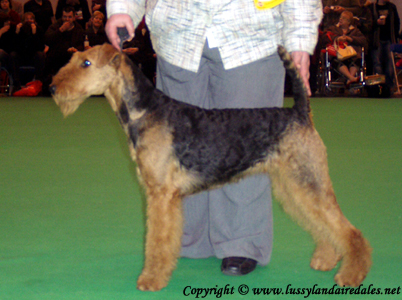 Ариша и английский Крафт 2008 Ариша и английский Крафт 2008
