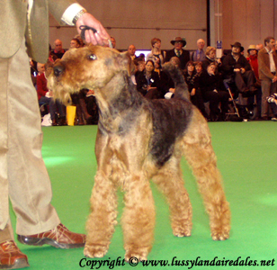 Ариша и английский Крафт 2008 Ариша и английский Крафт 2008